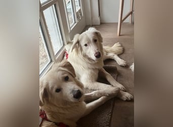 Stardust - Von der Erde zum Mond und zurück....