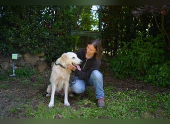 Isana - Wo ist mein neues Leben?