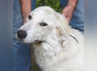 Yasmine - freundlicher Sonnenschein sucht sonniges Plätzchen