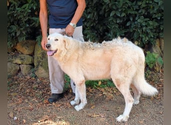 Makeen - es ist die Ohnmacht.....