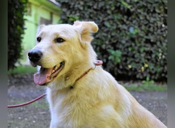 Antiloco - Nur ein Wunsch: endlich nach Hause!