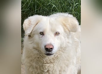 Sindbad - Zwischen Vorsicht und Vertrauen