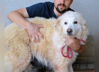 Olivielle- Junge Dame im Bärenmantel