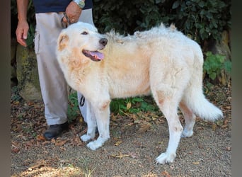 Makeen - es ist die Ohnmacht.....