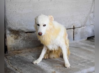 Fredrik - Was nach der Trennung kommt