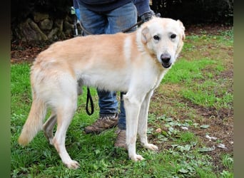 Yannick - eine zweite Kindheit?