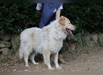 Paolo - Oh, huch, wow!!!