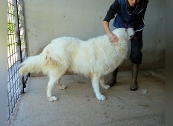 Leverett - Ich sehe was, was du (noch) nicht siehst!