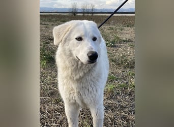 Mona - Ruhe, Würde und ein großes Herz