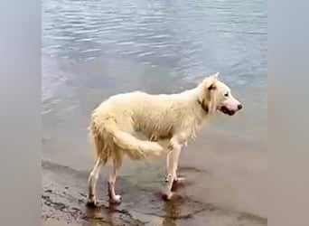 Stardust - Von der Erde zum Mond und zurück....