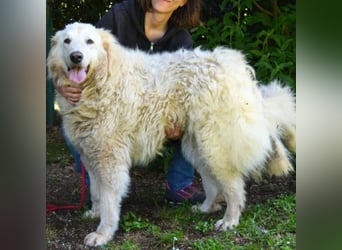 Filomela - Vom Sorgenkind zum Sonnenschein