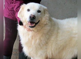 Albertone - Alles, alles Gute!!!