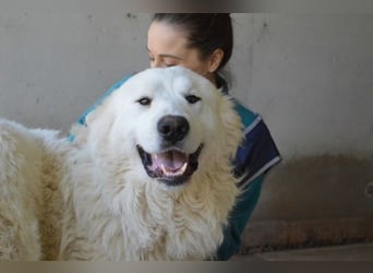 Leverett - Ich sehe was, was du (noch) nicht siehst!