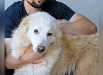 Olivielle- Junge Dame im Bärenmantel