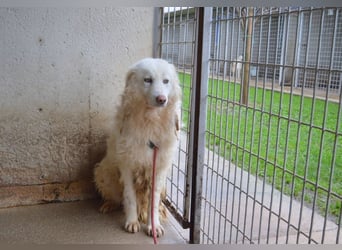 Fredrik - Was nach der Trennung kommt