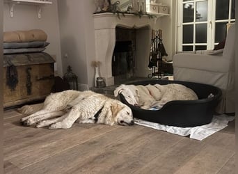 Stardust - Von der Erde zum Mond und zurück....