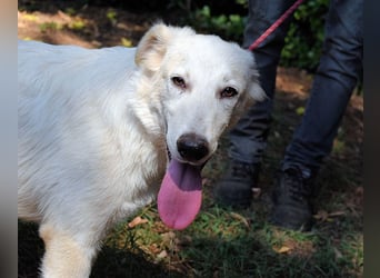 Isana - Wo ist mein neues Leben?