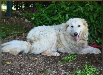 Filomela - Vom Sorgenkind zum Sonnenschein