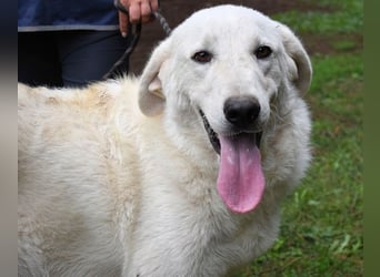 Dayton - niemals ist eine schrecklich lange Zeit
