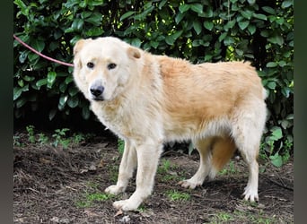 Antiloco - Nur ein Wunsch: endlich nach Hause!