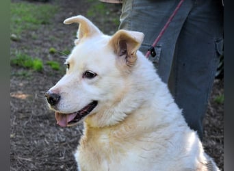 Zipper - Ein vergeudetes Leben