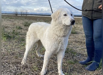 Mona - Ruhe, Würde und ein großes Herz