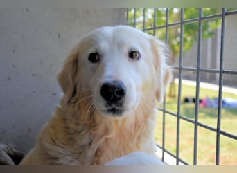 Benilda - Familiemutter in Not