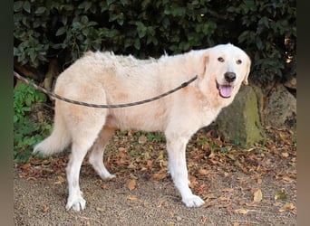 Makeen - es ist die Ohnmacht.....