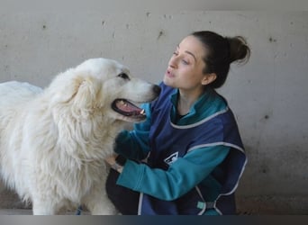 Leverett - Ich sehe was, was du (noch) nicht siehst!