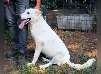 Isana - Wo ist mein neues Leben?