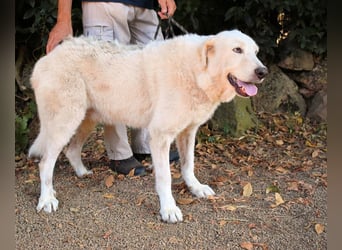 Makeen - es ist die Ohnmacht.....