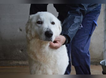 Rosvielle - Auf einer Skala von 1 bis 10....