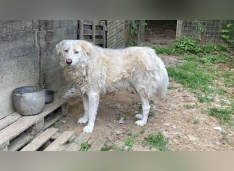 Sindbad - Zwischen Vorsicht und Vertrauen