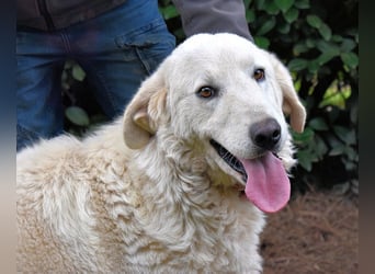 Dayton - niemals ist eine schrecklich lange Zeit