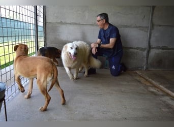 Quebry - Es ist, was es ist...