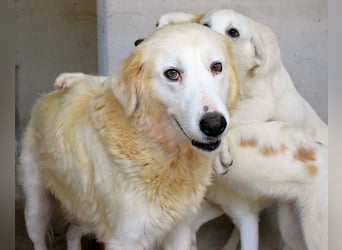 Benilda - Familiemutter in Not