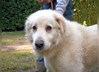 Quilmar - Was werden sie erzählen?