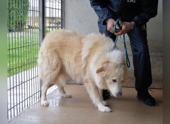 Olivielle- Junge Dame im Bärenmantel