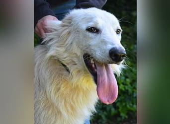 Isana - Wo ist mein neues Leben?