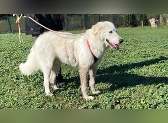 Mona - eine weiße Herzensbrecherin und ihre drei Schwestern