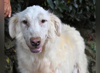 Quebry -NOTFALL - Es ist, was es ist...