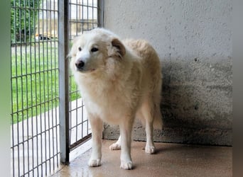 Olivielle- Junge Dame im Bärenmantel