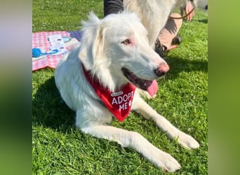 Stardust - Von der Erde zum Mond und zurück....