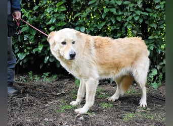 Antiloco - Nur ein Wunsch: endlich nach Hause!