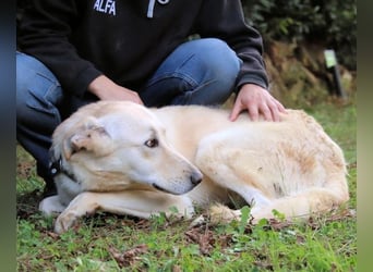 Yannick - eine zweite Kindheit?