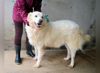 Albertone - Alles, alles Gute!!!