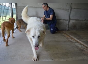 Quebry - Es ist, was es ist...