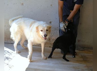 Skilah - Wenn Niemand zu Jemand wird