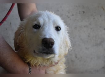 Hadrianus - weiß, es wird einmal ein Wunder gescheh'n