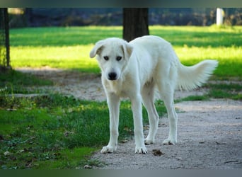 Madea - in ihrer ganzen Schönheit